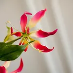 Palace לינה וארוחת בוקר *