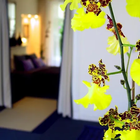 Palace أمستردام